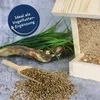 A wooden bird feeder filled with birdseed, with a pile of hemp seeds on a wooden scoop in the foreground, and artificial grass and a piece of wood in the background. Produktbild-Vorschau