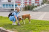 Purlov Hygienická savá podložka - 100 ks. + tašky Náhled obrázku produktu 16