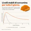 Curcuma Capsule con Vitamina D3 - Curcumina NovaSOL, 30 Anteprima dell’immagine prodotto 5