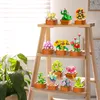12 sukulentov Mini súpravy 1403 kusov Botanická súprava Náhľad obrázku produktu 4