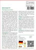 SAFLAX - Heilpflanzen - Spitzwegerich - 100 Samen - Mit Produktbild-Vorschau 3