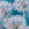Küchenrückwand Spritzschutz Glas mit Motiv Wassertropfen Produktbild-Vorschau 3