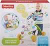 Fisher-Price DLF00, 4 szt., Plastik, Wielobarwny Podgląd zdjęcia produktu 5