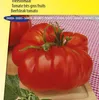 Semená paradajok Brutus – Pestujte veľké, šťavnaté Náhľad obrázku produktu 2