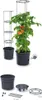 Prosperplast Tomatoes 29.5x29.5x 31.5-153 Cm Blumentopf Produktbild-Vorschau 11