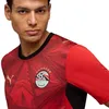 Puma EFA Home Jersey Replica, Größe:L Produktbild-Vorschau 6