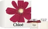 A gift set of Chloe perfume and body lotion, presented in a white box with a large red floral design. Anteprima dell’immagine prodotto