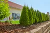 Gardena 
štartovacia sada pre rastliny v riadkoch L, Náhľad obrázku produktu 14