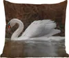 MuchoWow® Outdoor Kissen - Schwan - Wasser - Tiere - Vogel Produktbild-Vorschau 1