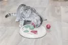 Cat Activity Game - TRIXIE - Flip Board - ø 23 cm - Light Anteprima dell’immagine prodotto 5