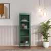 A green glass-fronted cabinet is displayed in a room with a plant and artwork. Anteprima dell’immagine prodotto