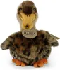 Papera Peluche 19 Cm Ecologica Anteprima dell’immagine prodotto 7