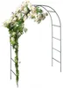 anaterra® Rosenbogen - 2er Set, Freistehend, 240x140x37 cm, Produktbild-Vorschau 10