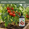 Green Home Love Nature  Tomatendünger 1 l, Flüssigdünger Produktbild-Vorschau 2