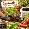 Tomatenerde 60 l – Nährstoffreiche Gemüseerde für gesundes Produktbild-Vorschau 6