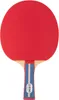 GEWO Tischtennisschläger Standard Pro  – ITTF Belag Lion, Produktbild-Vorschau 1