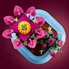 Conférence sur les plantes médicinales n° 6 Voir les images du produit 5