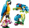 31136 - LEGO Creator - Perroquet exotique Voir les images du produit 13