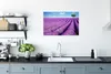 MuchoWow® Poster Rollende Lavendelhügel mit einem Baum Produktbild-Vorschau 3