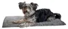 Tapis de propreté Superbed, 100 x 65 cm, gris Voir les images du produit 2