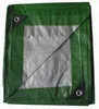 Ekspand | Plane 10x20m 130g - Silber-Grün - Frostbeständig- Produktbild-Vorschau 1