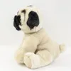 A plush toy pug dog sitting on a white background. Produktbild-Vorschau