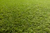 GAZON ARTIFICIEL ALVIRA toute taille vert 300x400 cm Voir les images du produit 3