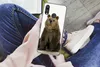 MuchoWow® Handyhülle Schutzhülle Hülle für Huawei P20 Lite Produktbild-Vorschau 3