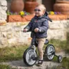 Lorelli ENERGY 2v1 odrážadlo a bicykel s pedálmi + pomocné Náhľad obrázku produktu 11