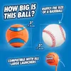 Chuckit! 17030, Hondenspeelgoed, Bal, Blauw, Oranje, Productafbeelding-voorbeeld 2
