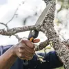 A person is using a folding saw to cut a tree branch. Produktbild-Vorschau
