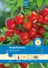 Artikelbild 1 von 'Ampeltomate Gartenperle' aus der Kategorie Tomatensamen Produktbild-Vorschau