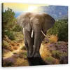 Leinwandbild Elefant bei Sonnenuntergang 30x30 Feeby Beige Produktbild-Vorschau 1