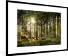 MuchoWow® MuchoWow® Gerahmtes Poster Hirsche - Natur - Wald Produktbild-Vorschau 1
