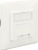 Delock Modular Wall Outlet flush mount 2 Port Cat.6A LSA - Produktbild-Vorschau 3