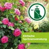 Protect Garden Curamat AZ Rosen-Pilzfrei 15 ml Produktbild-Vorschau 6