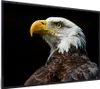MuchoWow® MuchoWow® Gerahmtes Poster Adler - Vogel - Augen Produktbild-Vorschau 1