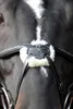 Covalliero Zaumzeug Cancun Pony Schwarz Produktbild-Vorschau 5