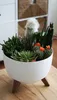 A white planter bowl with wooden legs filled with various succulents and cacti, placed on a wooden table. Náhled obrázku produktu