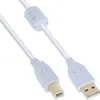 InLine USB 2.0 Kabel, A an B, weiß / gold, mit Ferritkern, Produktbild-Vorschau 1