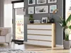 Komoda 120 cm 8 zásuvek skříňka FRAMIRE R-120-S8 artisan Náhled obrázku produktu 2