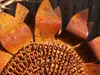 Edelrost Gartenstecker Sonnenblume Produktbild-Vorschau 3