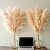 set di 10 erbe di pampa XXL (100 cm) per decorazioni boho - Anteprima dell’immagine prodotto 4