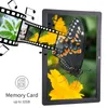 A digital photo frame displaying a butterfly on a flower, with a film strip overlay showing other images and musical notes. Podgląd zdjęcia produktu