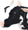 Close-up of a plush cow's head. Náhľad obrázku produktu