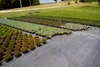 EraGreen Bändchengewebe 5m x 0,5m Bodengewebe 100g/m² Produktbild-Vorschau 3