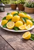 Drzewko cytrynowe Zagara Bianca 100–140 cm – Citrus limon, Podgląd zdjęcia produktu 2