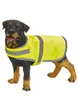 YOKO Pet Supplies Gilet Hi Vis per cani HVDW15 Blu Royal Anteprima dell’immagine prodotto 2