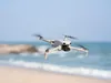 DJI Lito X1 Fly More Combo, 4 Rotoren, 48 MP, 21000 m, Produktbild-Vorschau 8