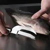 A person is holding a fish and a fish scaler tool. Náhled obrázku produktu